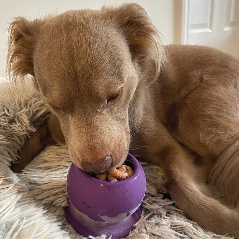 Freezball - Durable Fillable Dog Chew Bone